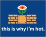 funny image
